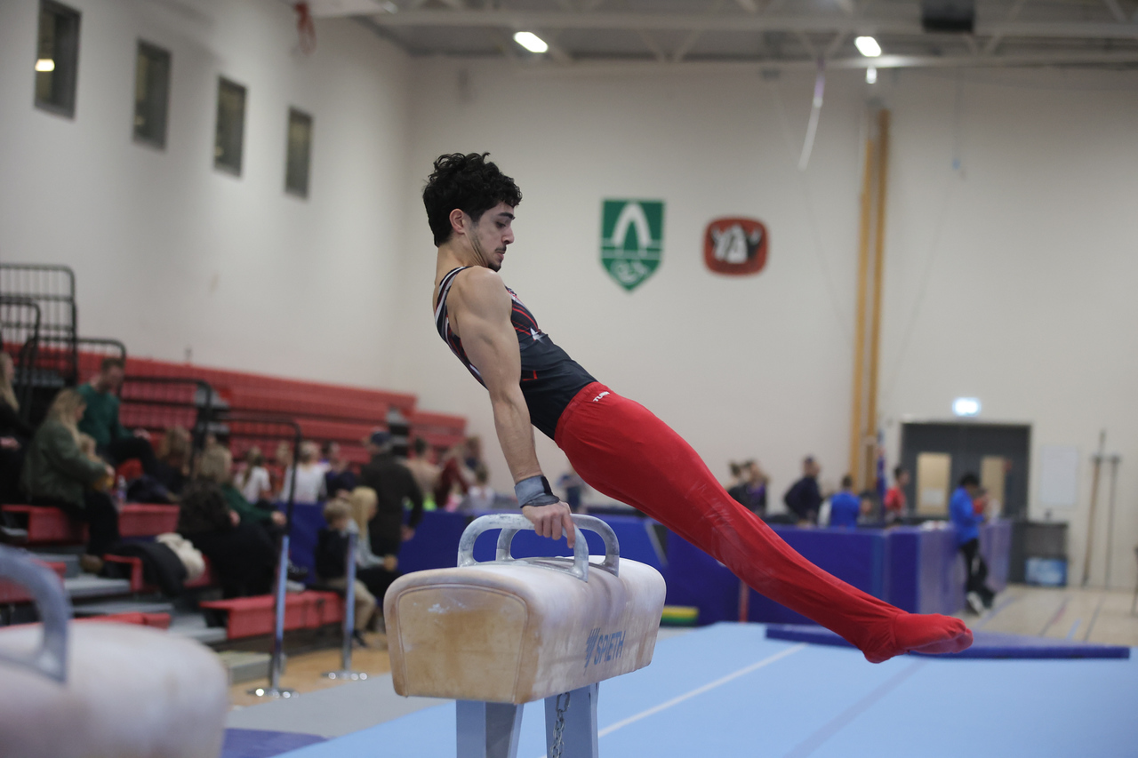 Pommel horse